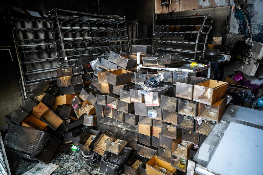 .Debris and reptile cages are seen following a fire