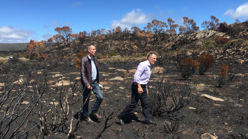 Senators tour Lake Mackenzie area