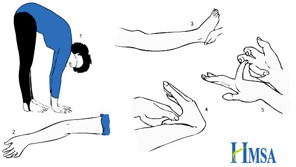 Line drawings show a person touching the floor with legs straight, pulling fingers back and flexing elbows.