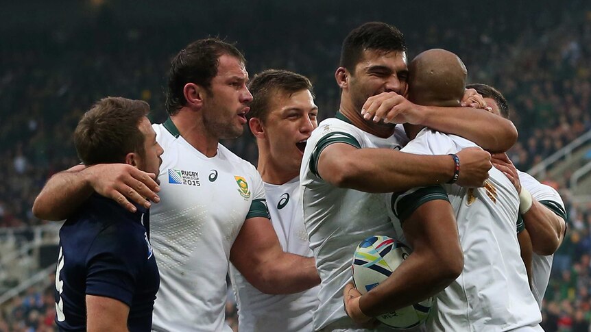 South Africa celebrates a try against Scotland