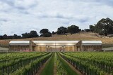 The Barossa Cellar will showcase some of the region's best wines on a 3 hectare block near Angaston.