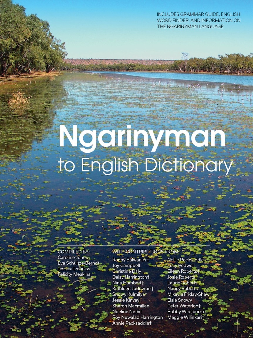 Book cover of Ngarinyman to English dictionary