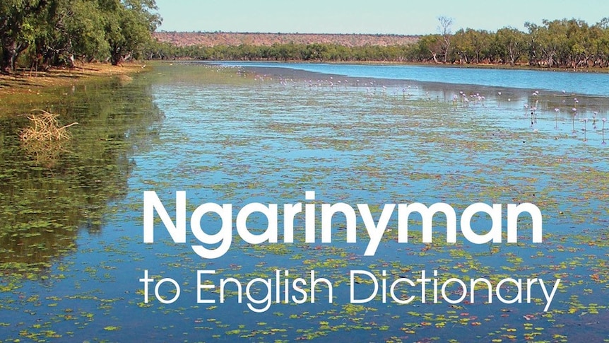Book cover of Ngarinyman to English dictionary
