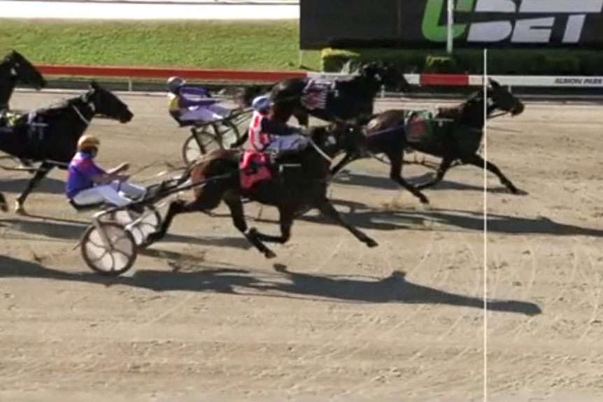 Shane Graham (red and white) winning Race 2 at Albion Park on July 28, 2017.