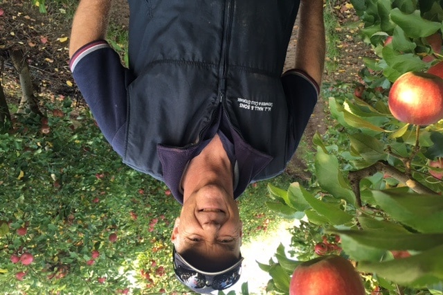 Mooroopna fruit grower, Peter Hall, in his apple orchard