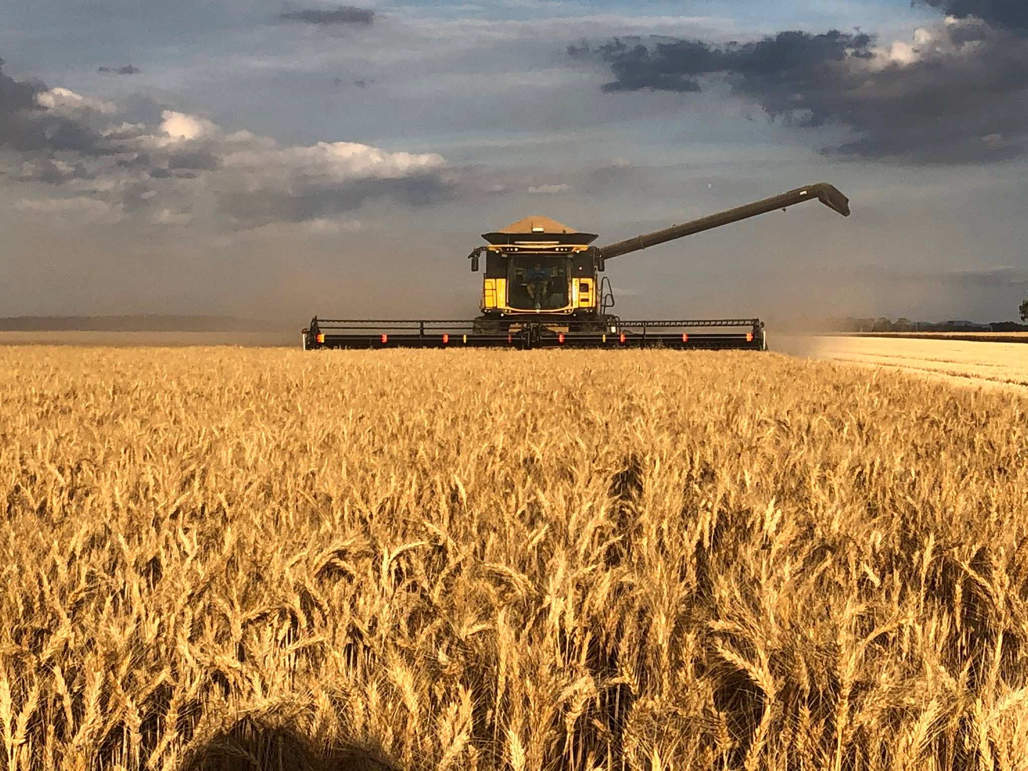 Harvesting - Topic - ABC News