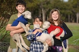 siblings with lambs