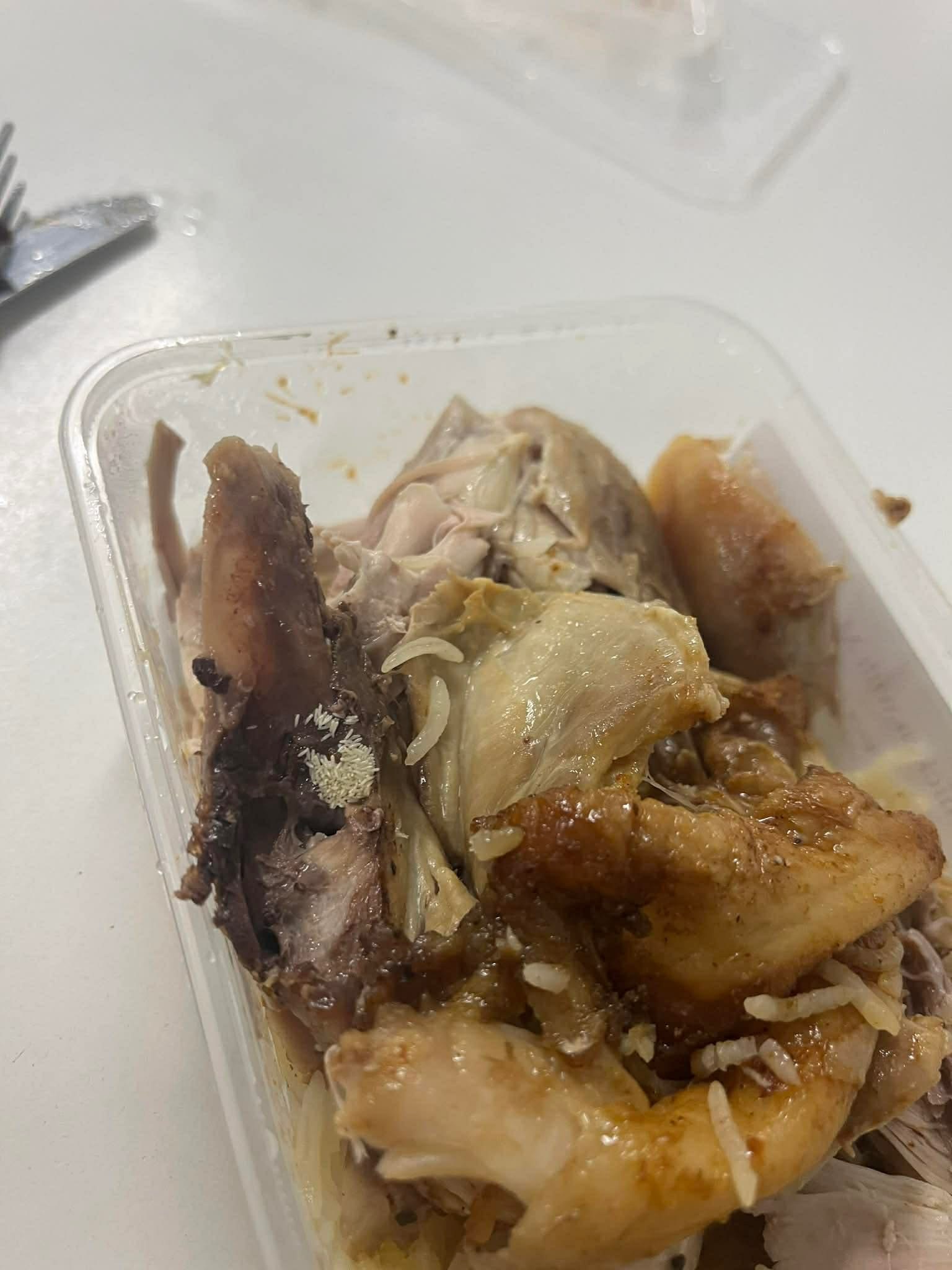 Maggot meal halts work at $1 billion Queensland hydro project