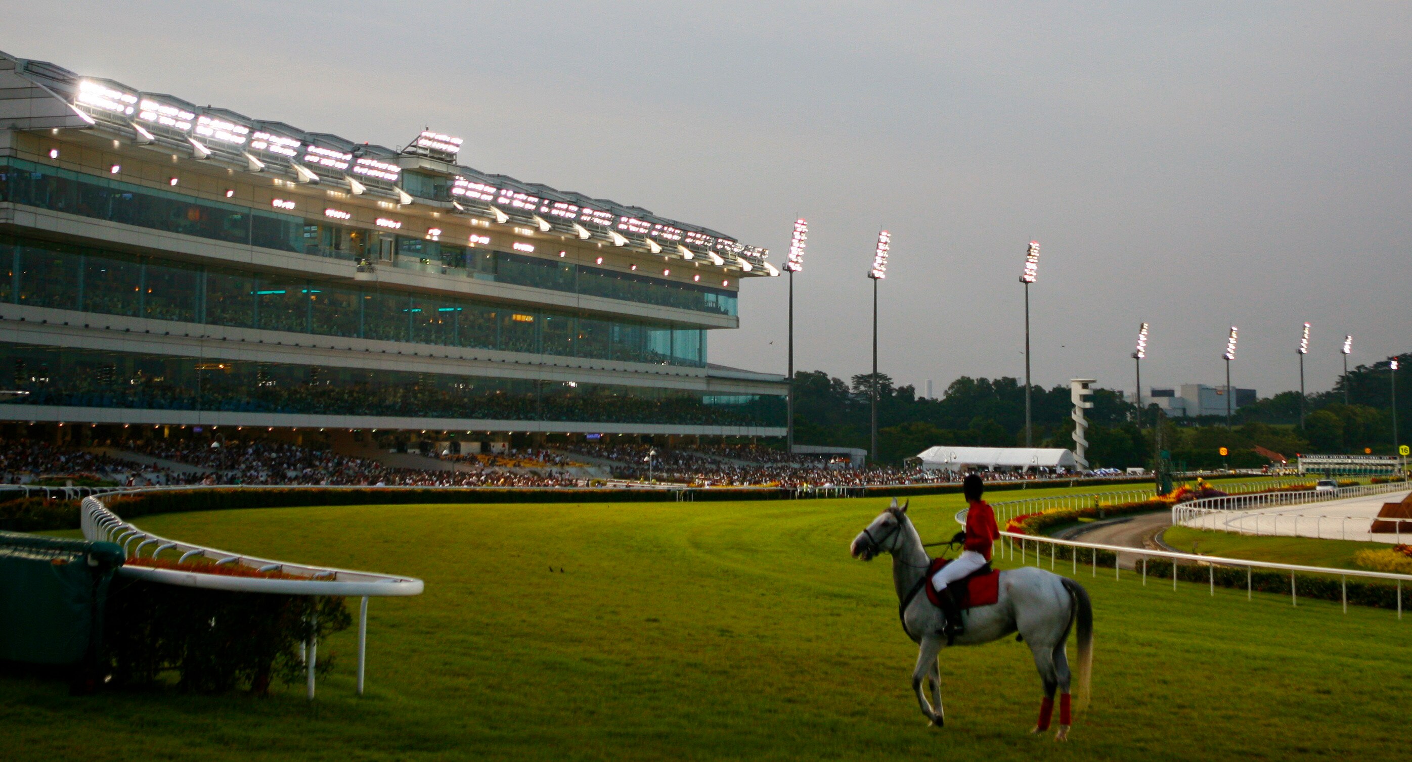 A mounted steward watches the start of a race at racecourse.