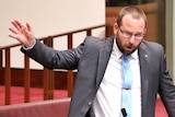 Ricky Muir gestures with one arm as he stands and speaks in the Senate, with Jacqui Lambie and Dio Wang, seated and listening.