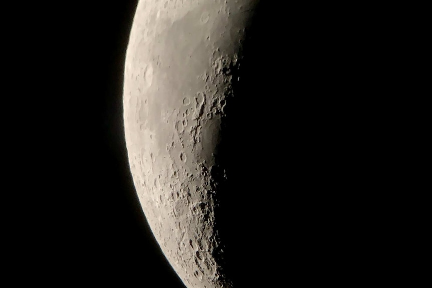 The grey surface of the moon contrasts with the black of space.