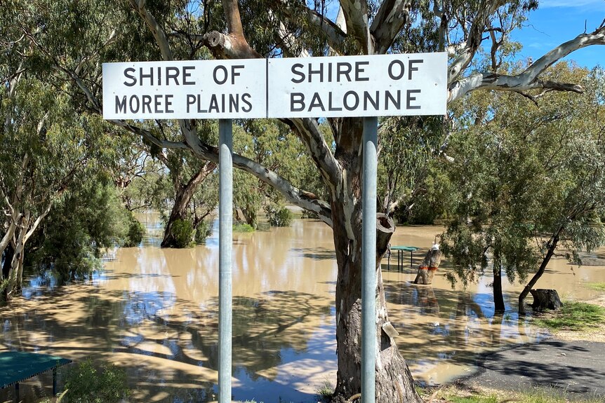 Signs for two difference councils on a flooded riverbank.