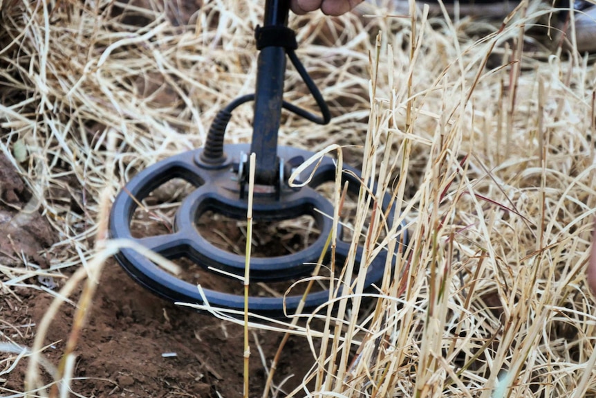 metal detector in grass