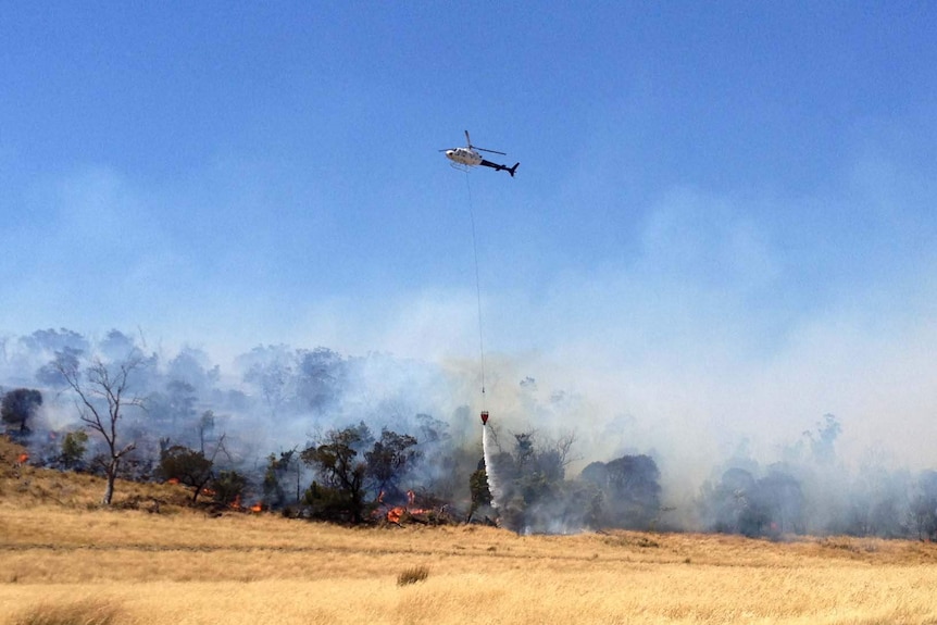 Bushfire at Epping Forest