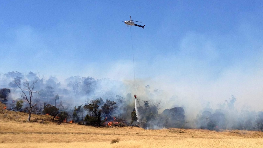 Bushfire at Epping Forest