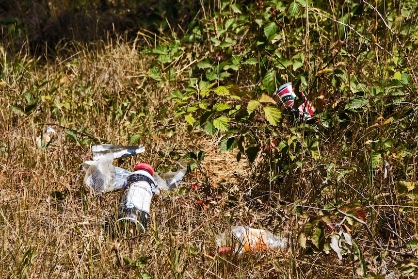 Litter on the main road at Alonnah, Bruny Island