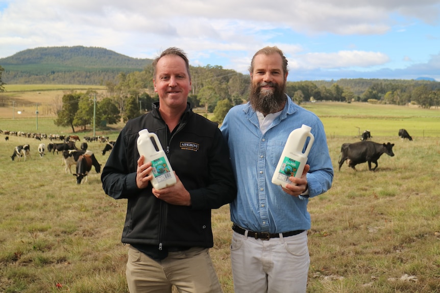 Two men stand in a paddock with dairy cows holding a bottle of milk.