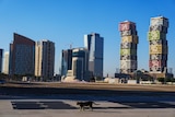 A cat walks in a street with the Marina Twin Towers, right, in the background in Lusail downtown