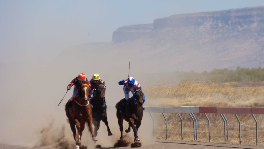 Three racehorses galloping down the Wyndham track