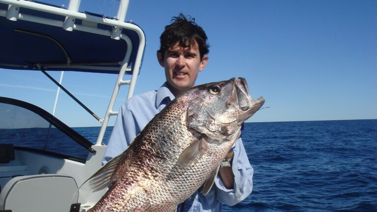 West Australian dhufish