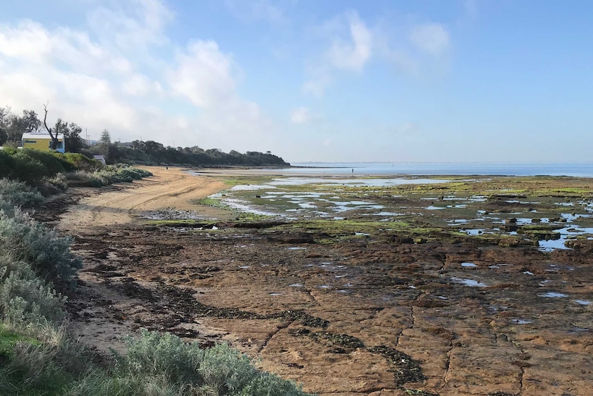 A view of rock pools across a flat beach under a blue sky.