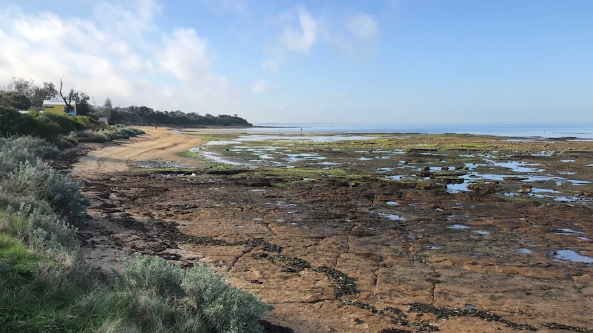 A view of rock pools across a flat beach under a blue sky.