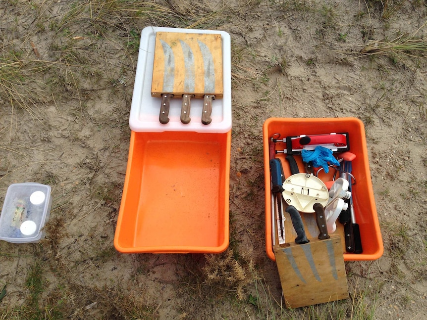 Whale dissection tools