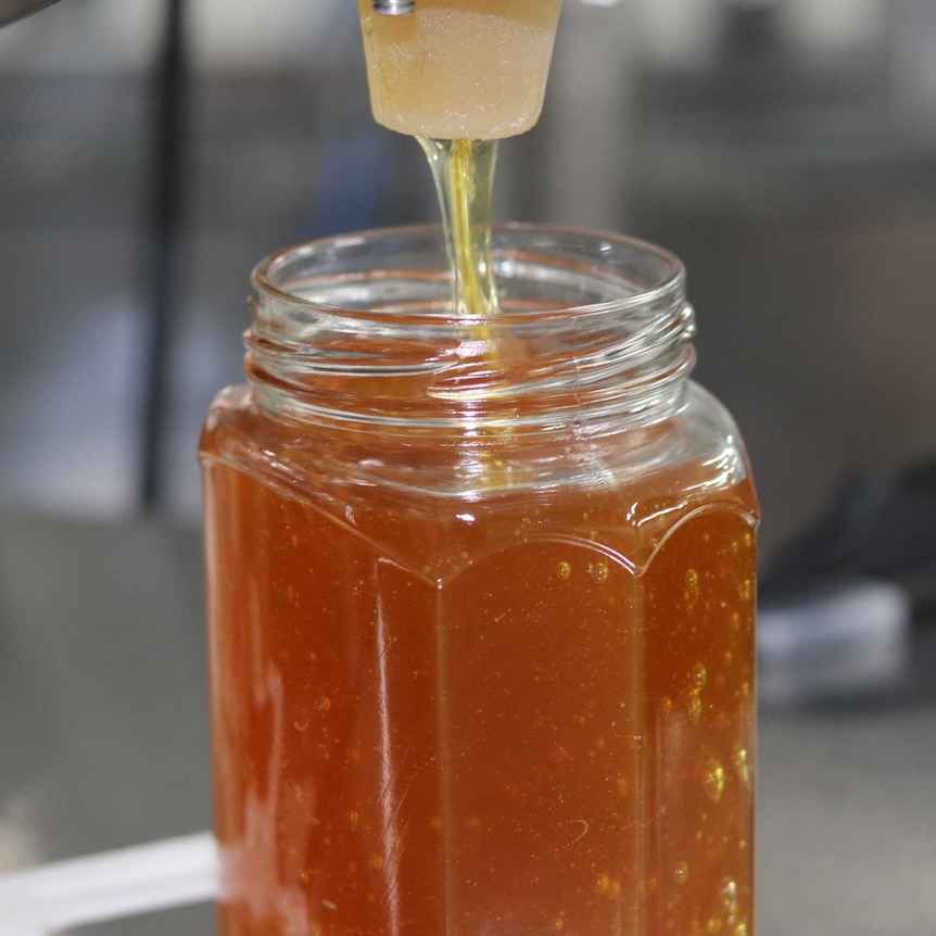 A jar of honey is filled using an automatic dispenser