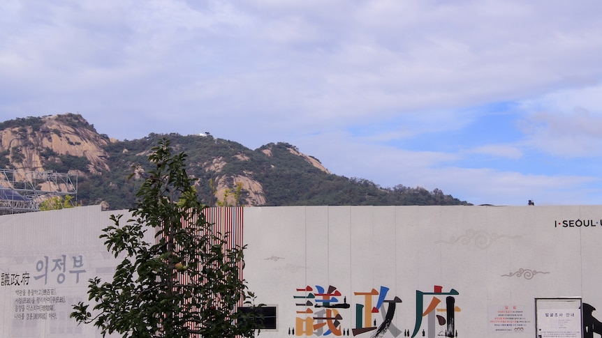 A mountain peeks above a tree and sign that reads 'Seoul'.