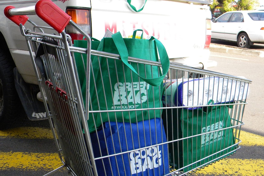 Revolución de las compras con la prohibición de las bolsas de plástico