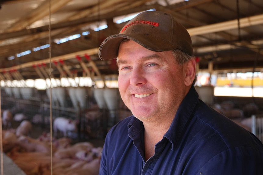 Dawson Bradford sits in his piggery with a smile on his face.