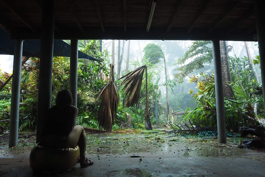 A person looks at leaf litter on a driveway from undercover.