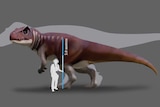 Artist's impression of to dinosaurs and a human being for scale