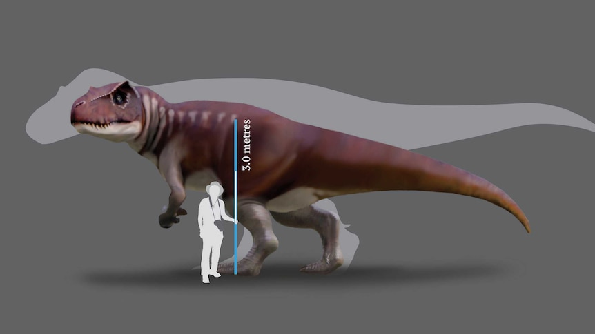 Artist's impression of to dinosaurs and a human being for scale