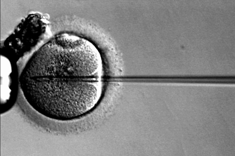 Why it #39 s time we talked more about male fertility ABC Everyday Why it #39 s time we talked more about male fertility ABC Everyday