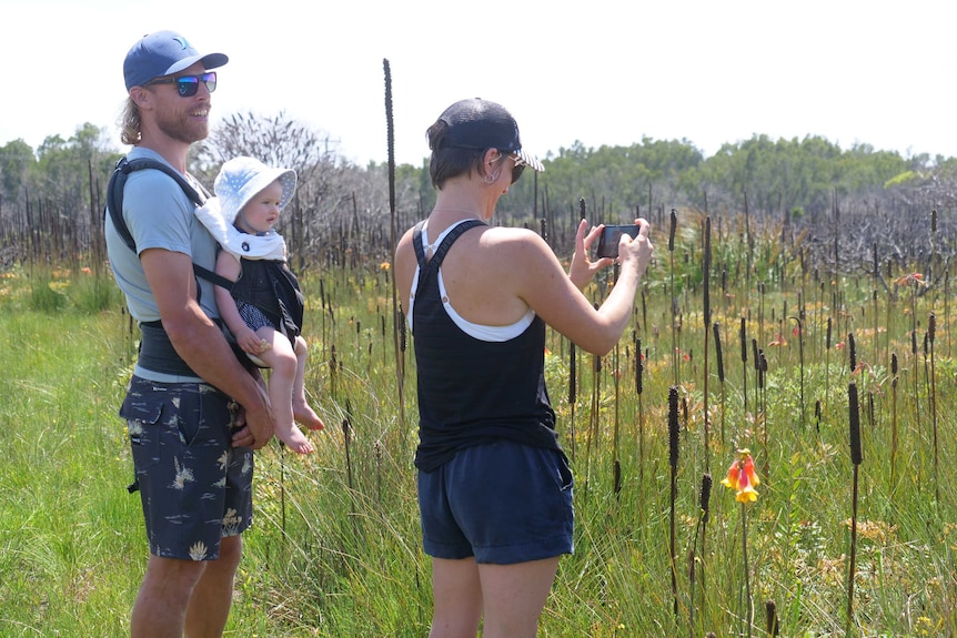 A woman standing with a man and a baby in a carrier takes photos of red and yellow flowers in a green field.