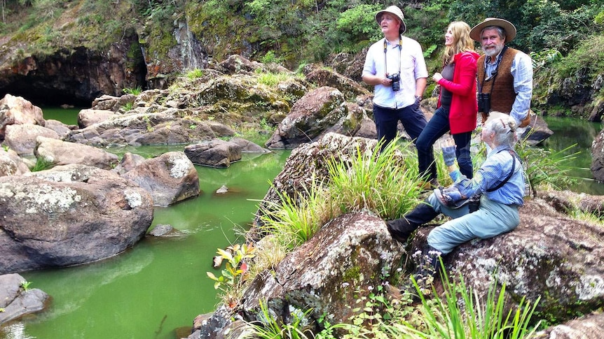 Three Sunshine Coast environmentalists stand on rocks at the bottom of Obi Obi Gorge