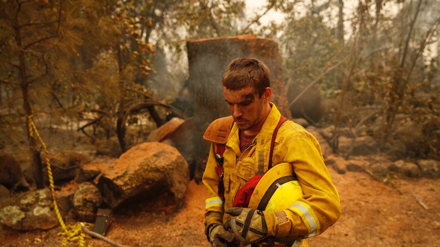 Firefighter Shawn Slack rests after felling trees burned in the Camp Fire.