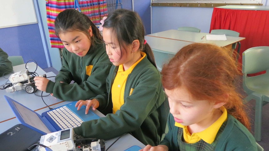 Three female primary school students sit at their desk on computers with a small robot beside them.