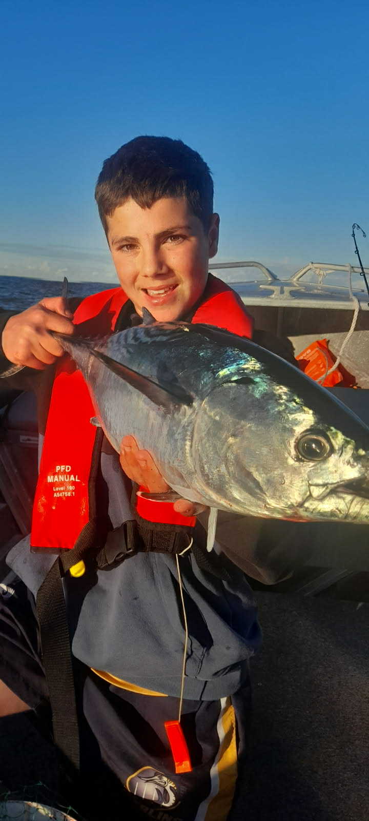 The Big Fish: The Beautiful Bellinger The Big Fish: The Beautiful Bellinger