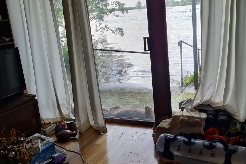 A timber floor and a sliding door with flood water just outside.