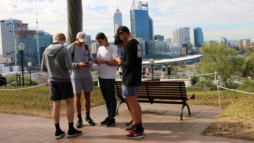 Young men look at their phones in front of the Perth city skyline at Kings Park. July 28, 2016.