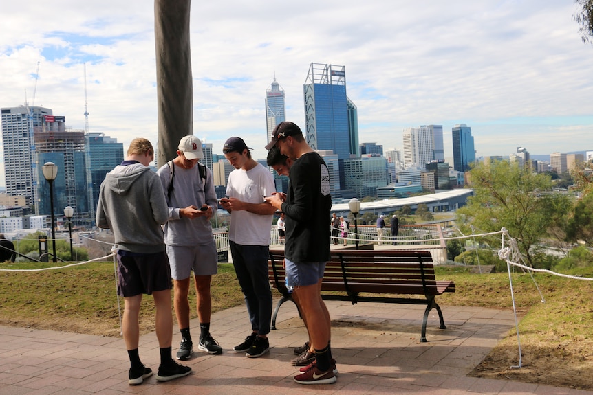 Young men look at their phones in front of the Perth city skyline at Kings Park. July 28, 2016.