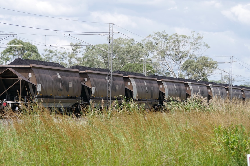 A coal train passes by beyond the long grass. 