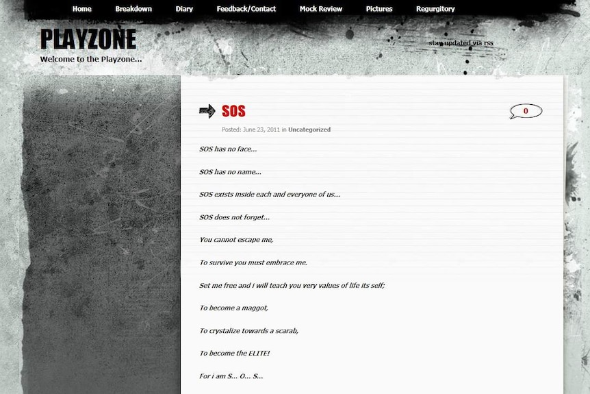 A screenshot of a blog called Playzone, written by murder accused Jemma Lilley.