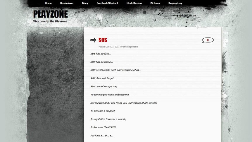 A screenshot of a blog called Playzone, written by murder accused Jemma Lilley.