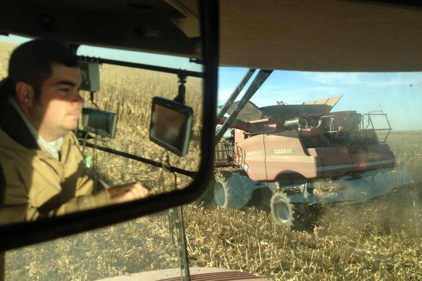 Chase Brown harvests near Decatur, Illinois.