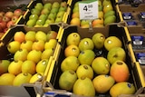 Mangoes in a supermarket