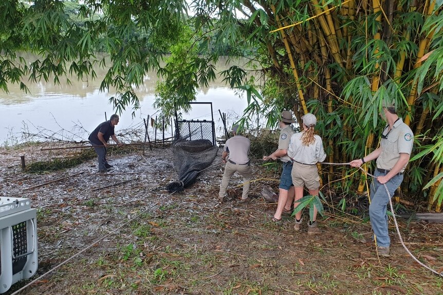 Wildlife officers haul in a net on the bank of a river.