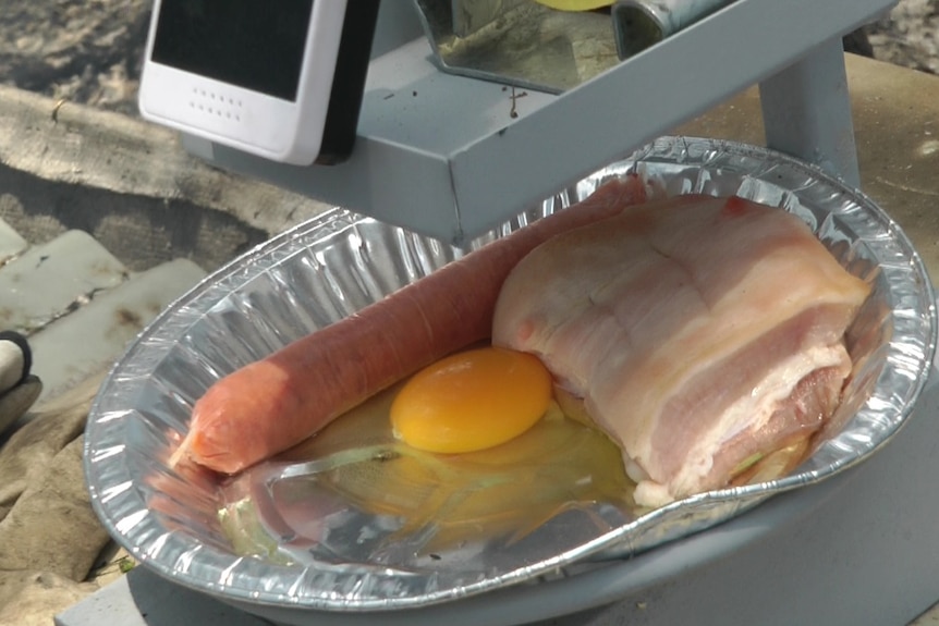 An egg and meat remain uncooked within the Burnover Proection Unit, which maintained a temperature of 22 degrees Celsius.